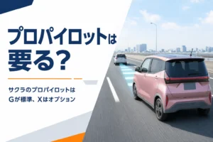 高速道路を前の車と車間を空けて走るサクラのイメージ